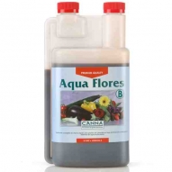 Aqua Flores B (Canna)