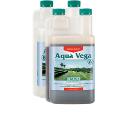 Aqua Vega A (Canna)