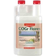 Cogr Flores B (Canna)