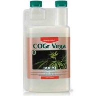 Cogr Vega B (Canna)