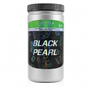 Black Pearl (Grotek)