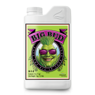 Big Bud (Advanced Nutrients)