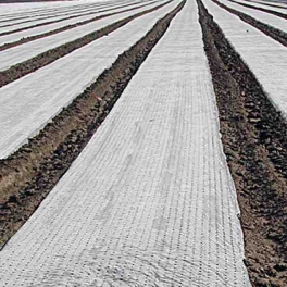 Plastico Sotrafilm microperforado / galga 110