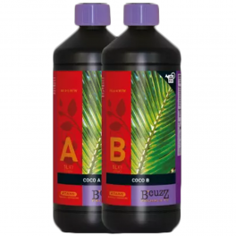 B'cuzz Coco Nutrition A (Atami)