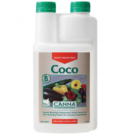 Coco B (Canna)