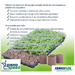 * GramoSpeed 4,0 (40x40mm) Gramosemi CC20 en bandeja (535x310x40mm) de 60 alveolos
