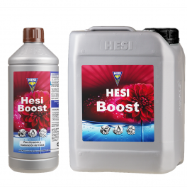 Boost (Hesi) ^