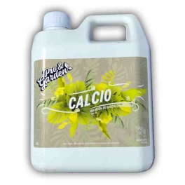 P&G-Calcio