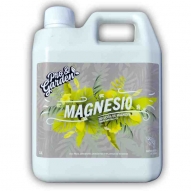 P&G-Magnesio
