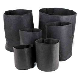 * Root Tex Redonda Negra