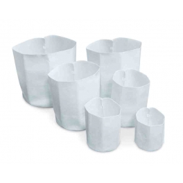 * Root Tex Redonda Blanca