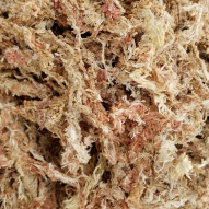 Sphagnum Fibras Largas bloque prensado