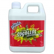 P&G-Cogollos
