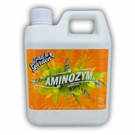 P&G-Aminozym