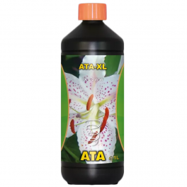 Ata XL (Atami)