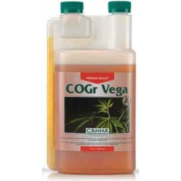 Cogr Vega A (Canna)