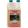 Cogr Vega A (Canna)