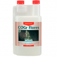 Cogr Flores B (Canna)