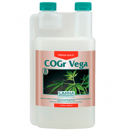 Cogr Vega B (Canna)