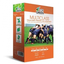 Semilla Cesped F&oacute;rmula Eurosport Multiclass Top Green 
