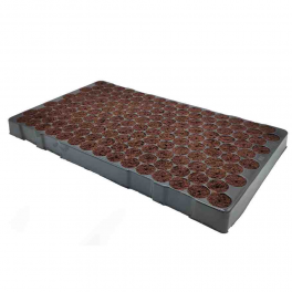 Bandeja plugins 150 alveolos - Preforma (8)