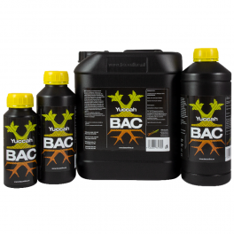 Yuccah (BAC)