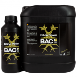 Silica Power (BAC)