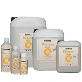 PH- Regulator Biobizz