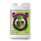 Big Bud (Advanced Nutrients)